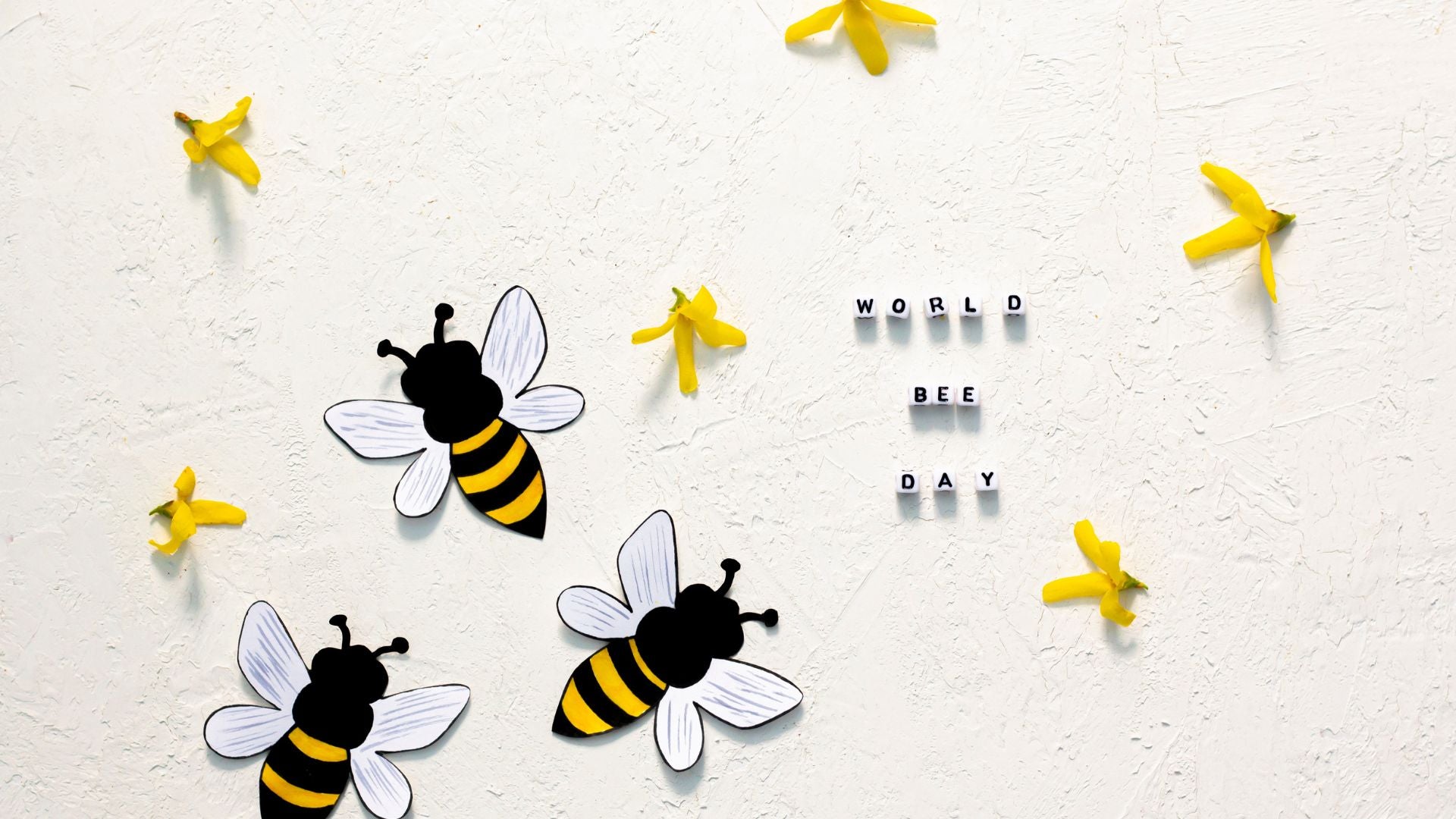 Bienen bewusst, Bienen aktiv: Wie fördert Switcher den Naturschutz?