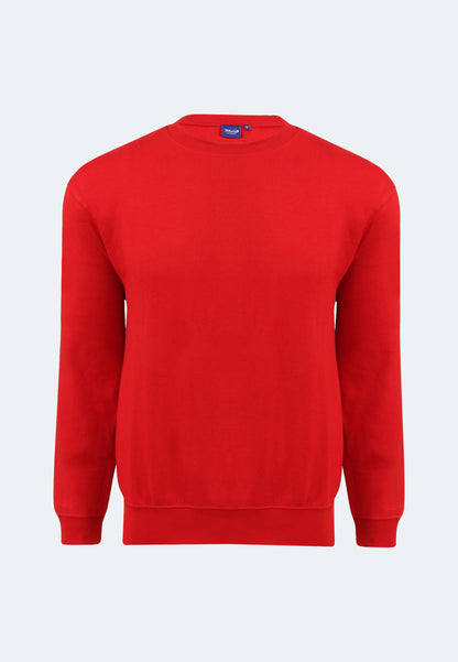Switcher long sleeve whale color/10 rouge