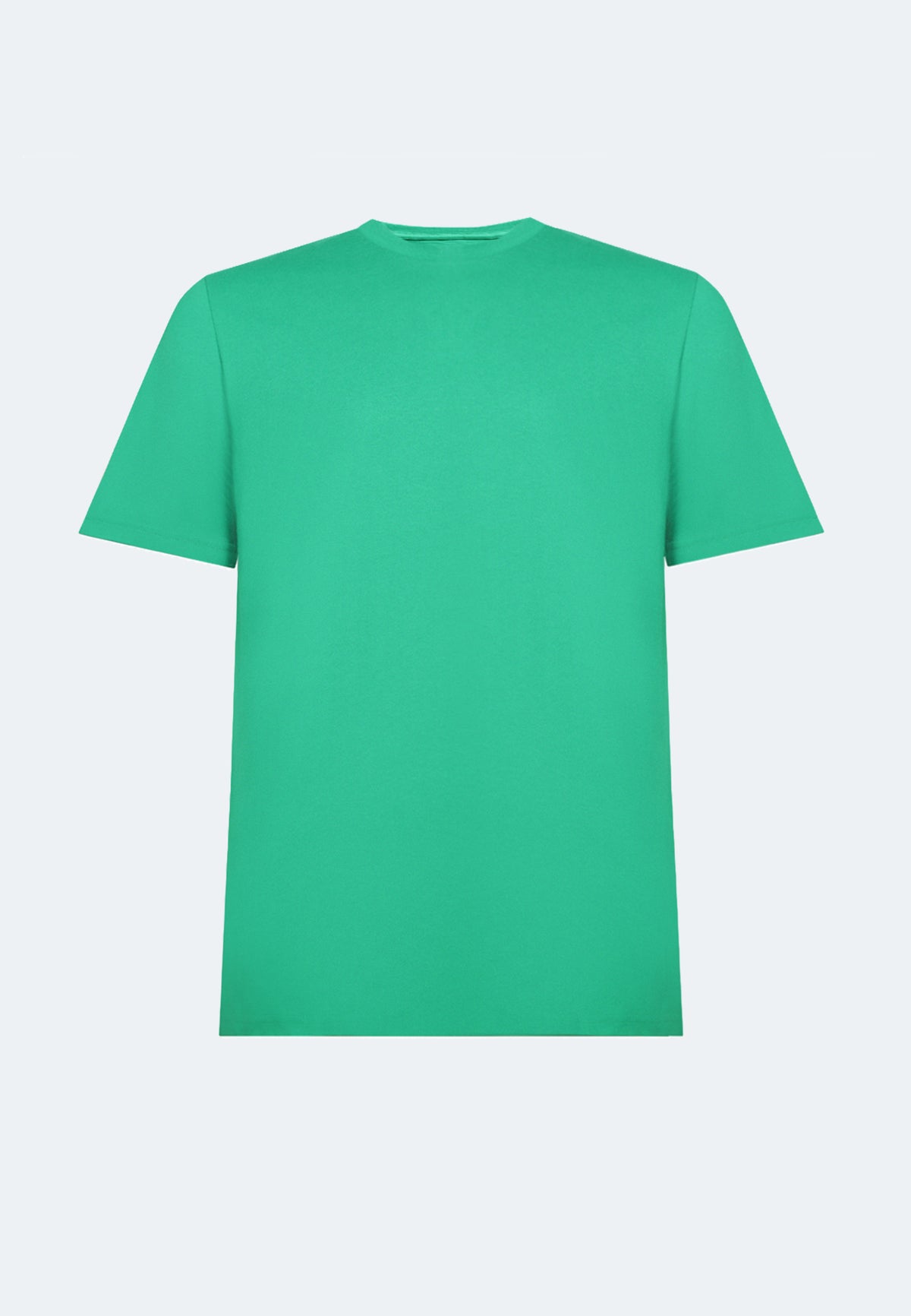Switcher Pablo Shirt, Color 31: Green
