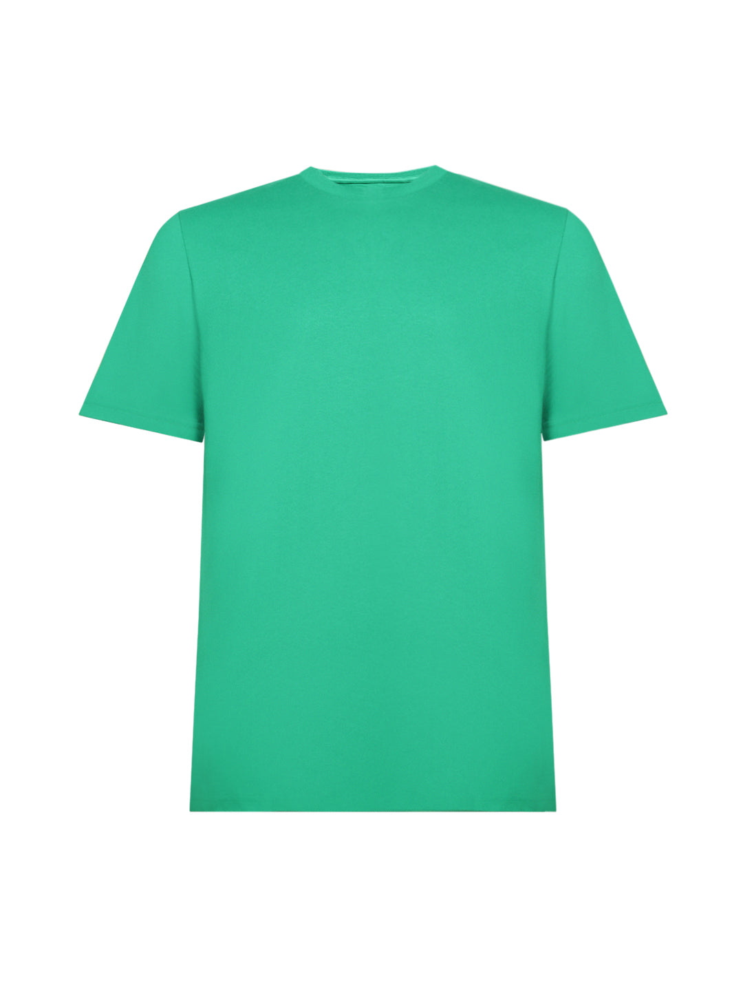 Switcher Pablo Shirt, Color 31: Green
